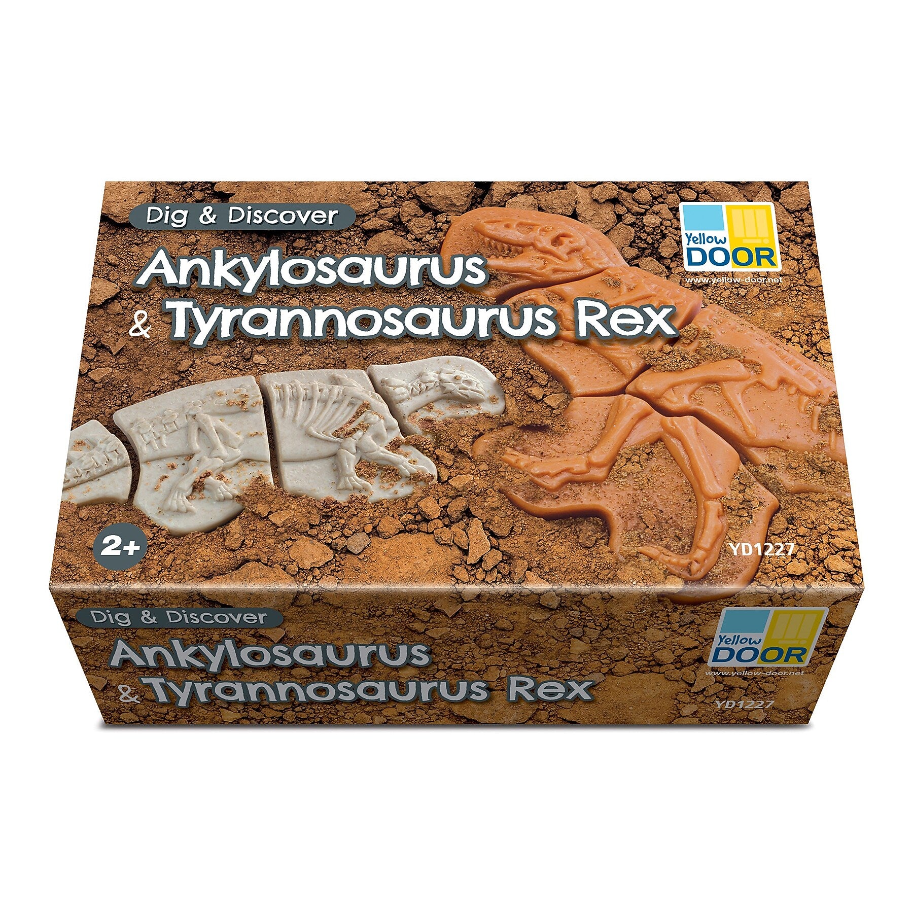 Yellow Door Dig and Discover Ankylosaurus & Tyrannosaurus Rex, Assorted Colors, 9/Set (YUS1227)