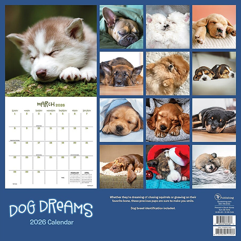 2026 TF Publishing Dog Dreams 12" x 12" Monthly Wall Calendar (26-1010)