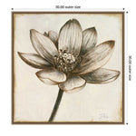 Amanti Art Sepia Lotus Blossom II by Patricia Pinto Framed Canvas Wall Art Print, 30" x 30" (A42678299854)