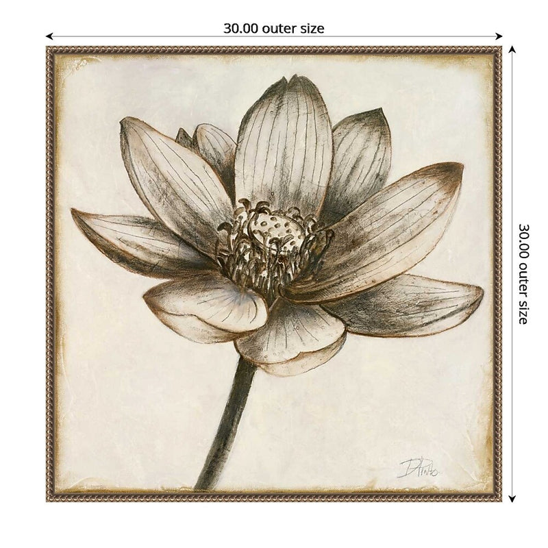 Amanti Art Sepia Lotus Blossom II by Patricia Pinto Framed Canvas Wall Art Print, 30" x 30" (A42678299854)