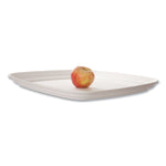Regalia Renewable Sugarcane Tray, 10.24 x 16.54, White, Sugarcane, 100/Carton
