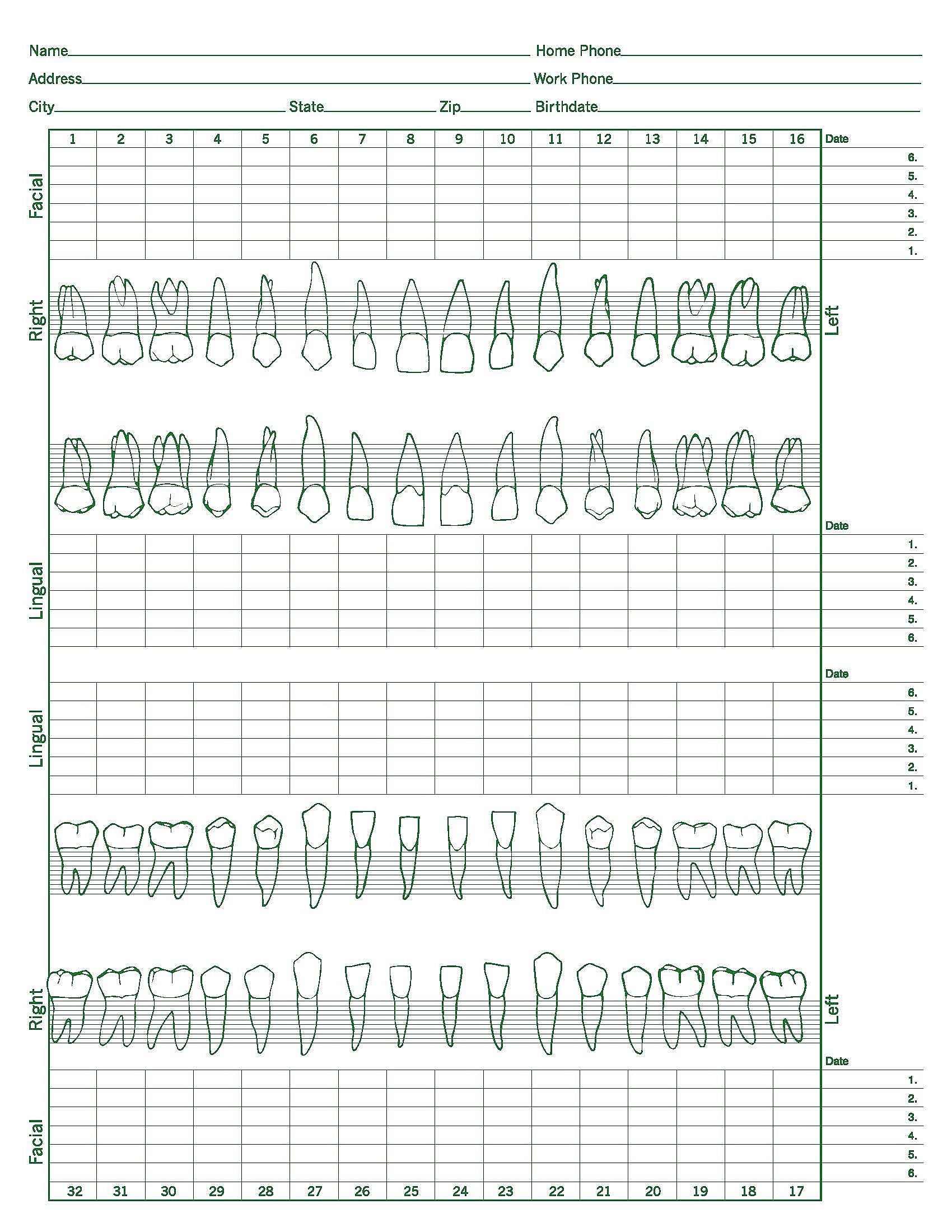 Medical Arts Press Dental Periodontal Chart (21143RL)