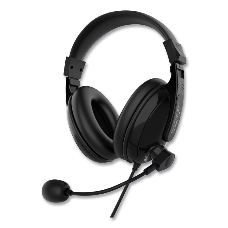 HS3000S Basic Multimedia Stereo Headset with Microphone
