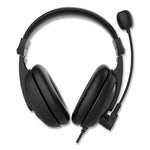 HS3000S Basic Multimedia Stereo Headset with Microphone