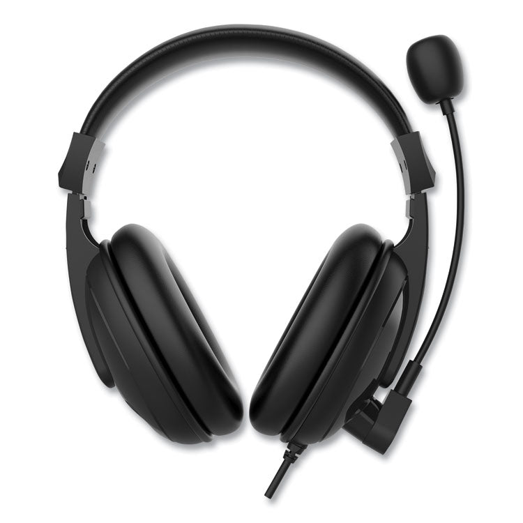HS3000S Basic Multimedia Stereo Headset with Microphone