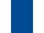 Spectra Deluxe Bleeding Art Tissue Paper, 20" x 30", Medium Blue, 24 Sheets/Pack, 10 Packs/Carton (P0059342)