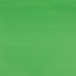 JAM Paper Gift Wrap, 26.3' x 2.5", Lime Green, 2/Pack (277013530263a)