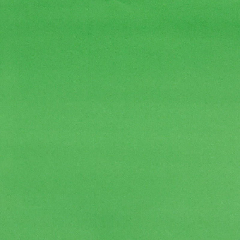 JAM Paper Gift Wrap, 26.3' x 2.5", Lime Green, 2/Pack (277013530263a)