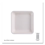 Vanguard Worldview Renewable and Compostable Sugarcane Take-Out Containers, 47 oz, 9 x 9 x 1.5, White, 200/Carton
