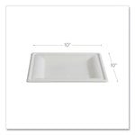 Vanguard Renewable and Compostable Sugarcane Plates, 10 x 10, White, 250/Carton