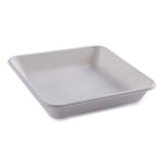 Vanguard Worldview Renewable and Compostable Sugarcane Take-Out Containers, 47 oz, 9 x 9 x 1.5, White, 200/Carton