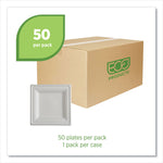 Vanguard Renewable and Compostable Sugarcane Plates, 10 x 10, White, 250/Carton