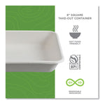 Vanguard Worldview Renewable and Compostable Sugarcane Take-Out Containers, 36 oz, 8 x 8 x 2, White, 200/Carton