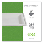 Vanguard Renewable and Compostable Sugarcane Plates, 10 x 10, White, 250/Carton
