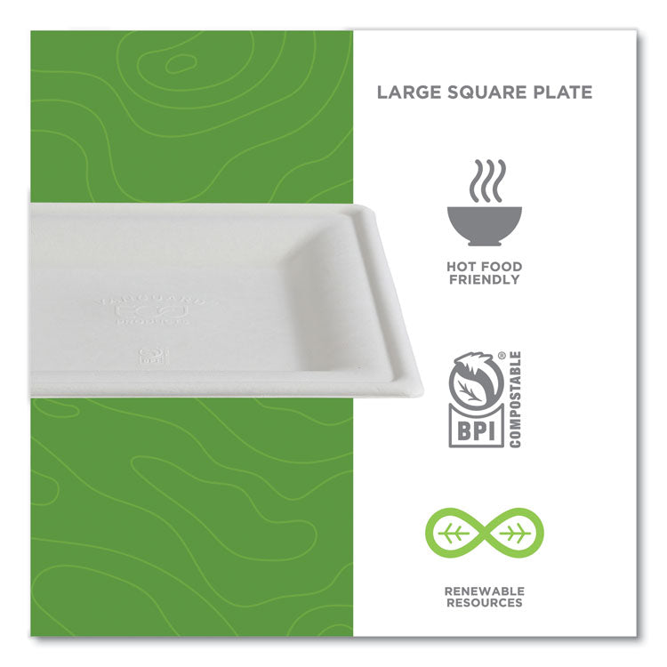 Vanguard Renewable and Compostable Sugarcane Plates, 10 x 10, White, 250/Carton