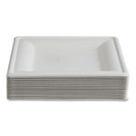 Vanguard Renewable and Compostable Sugarcane Plates, 10 x 10, White, 250/Carton