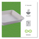 Vanguard Worldview Renewable and Compostable Sugarcane Take-Out Containers, 47 oz, 9 x 9 x 1.5, White, 200/Carton