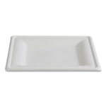 Vanguard Renewable and Compostable Sugarcane Plates, 10 x 10, White, 250/Carton