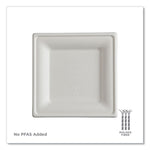 Vanguard Renewable and Compostable Sugarcane Plates, 6 x 6, White, 500/Carton