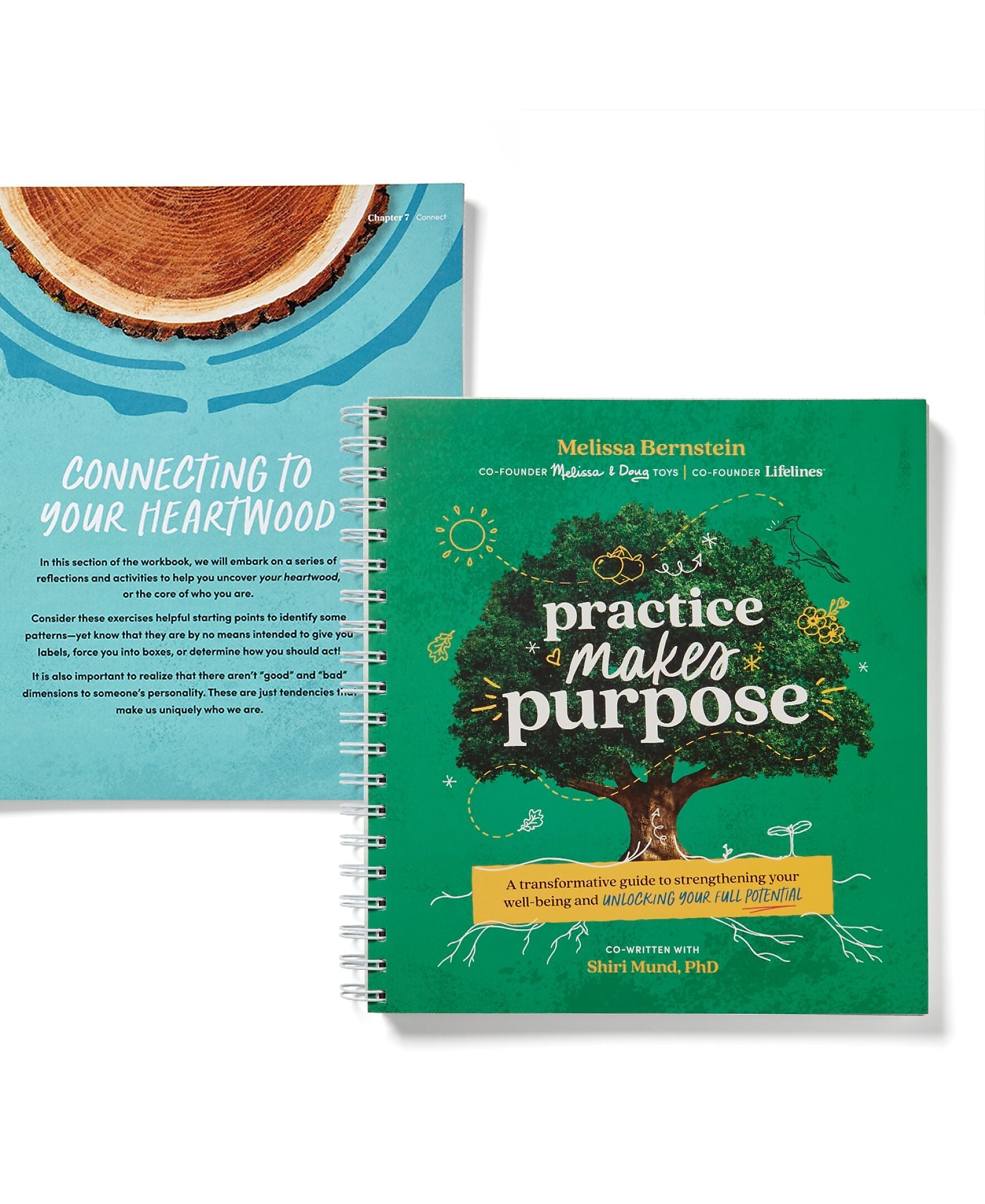 Lifelines Practice Makes Purpose Guided Journal, Multicolor, 180 Pages (17-1101)
