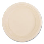 Bagasse PFAS-Free Dinnerware, Plate, Sugarcane, 9" dia, Tan, 500/Carton