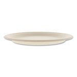 Bagasse PFAS-Free Dinnerware, Plate, Sugarcane, 10" dia, Tan, 500/Carton