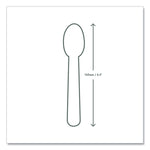 White CPLA Cutlery, General Purpose Spoon, Plastic, 1,000/Carton