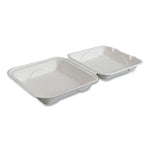 Vanguard Renewable and Compostable Sugarcane Clamshells, 9 x 9 x 3, White, 200/Carton