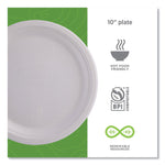 Vanguard Renewable And Compostable Sugarcane Plates, 10" Dia, White, 500/carton