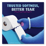 Ultra Soft Bathroom Tissue, Mega Roll, Septic Safe, 2-Ply, White, 224 Sheets/Roll, 12 Rolls/Pack, 4 Packs/Carton