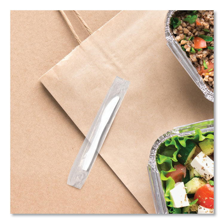 Regal Mediumweight Cutlery, Individually Wrapped, Knife, Plastic, White, 1,000/Carton