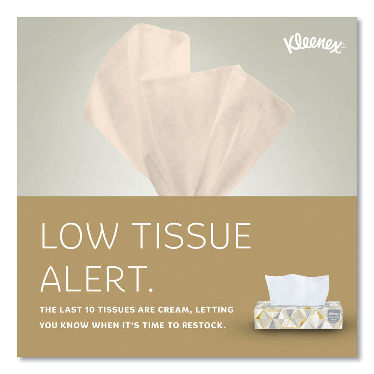 White Facial Tissue for Business, 2-Ply, 125 Sheets/Box, 12 Boxes/Carton