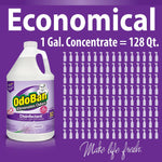 OdoBan Air Freshener & Deodorizer, Lavender Scent, 1 Gallon (911101-G4)