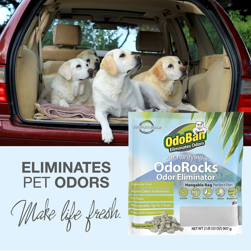 OdoBan Air Purifying OdoRocks Deodorizer Solid, 32 oz. (979561-2P)