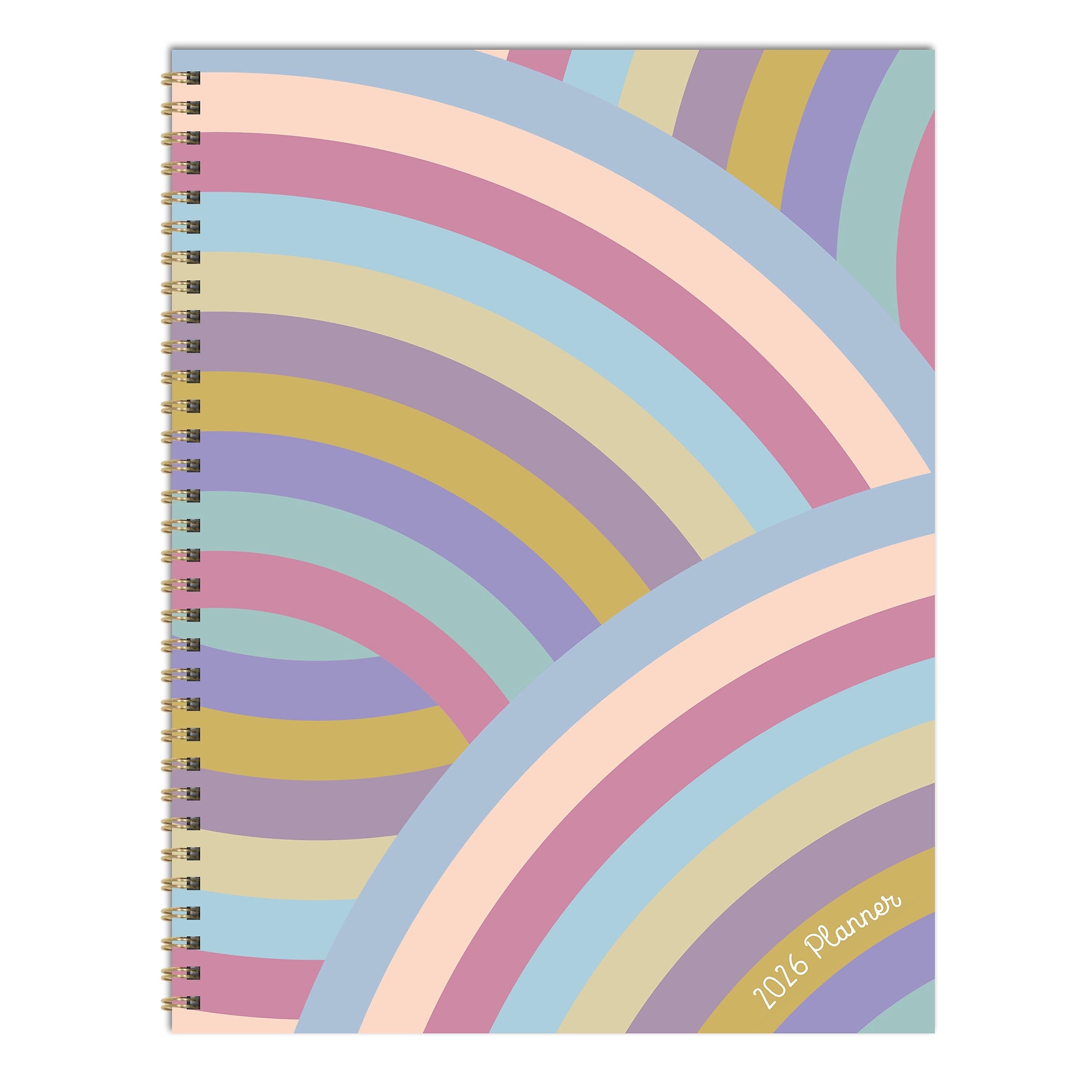 2026 TF Publishing Almost Rainbow 9" x 11" Weekly & Monthly, Paperboard Cover, Multicolored (26-9706)