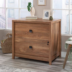 Sauder Cannery Bridge Commercial 2-Drawer Lateral File Cabinet, Letter/Legal Size, 32"W x 22"D, Sindoori Mango (429514)