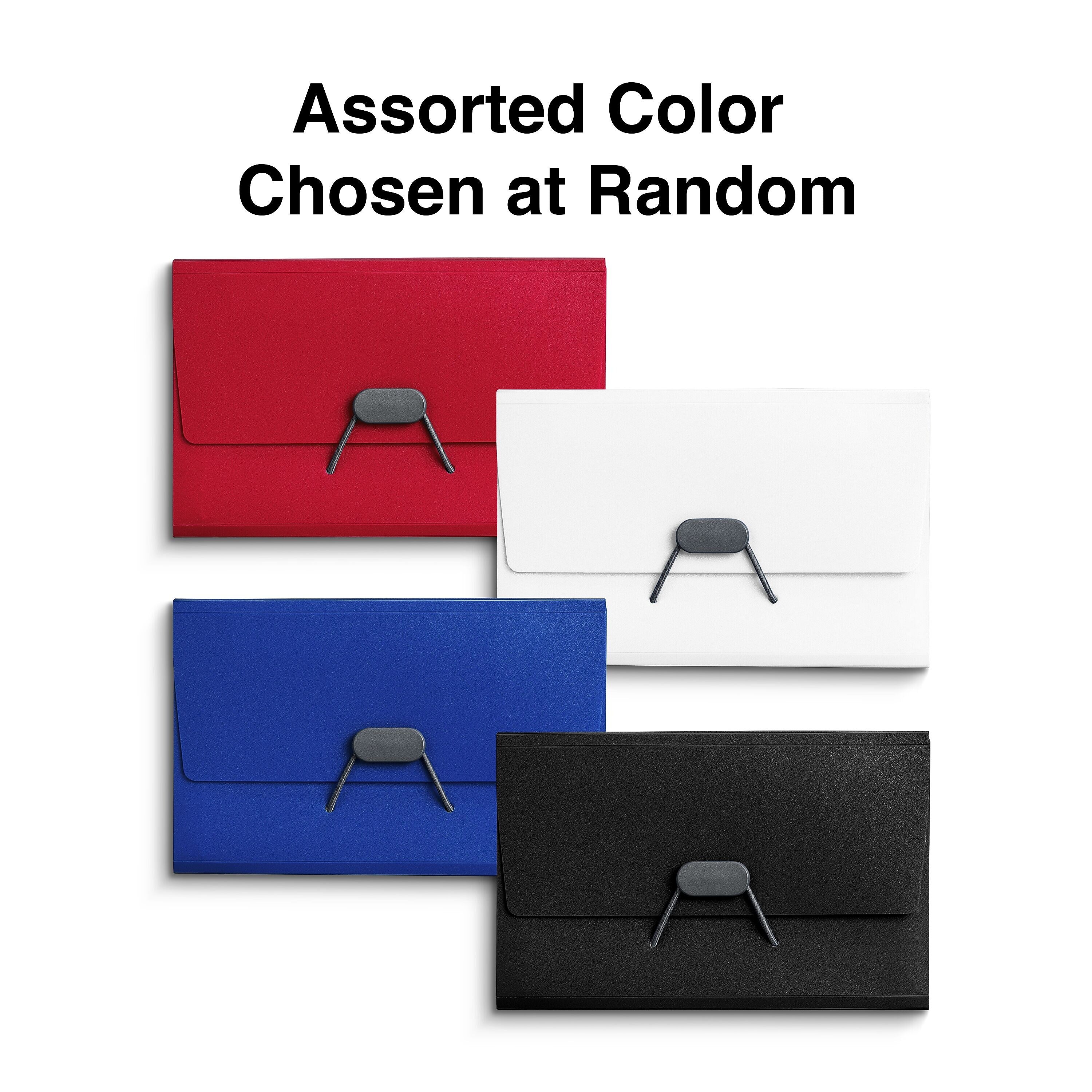 Staples Plastic Accordion File, 13-Pocket, Coupon Size, Assorted Colors (TR51828)