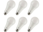 Viribright 17-Watts Daylight LED General-Purpose Bulb, 6/Box (450118-ES)