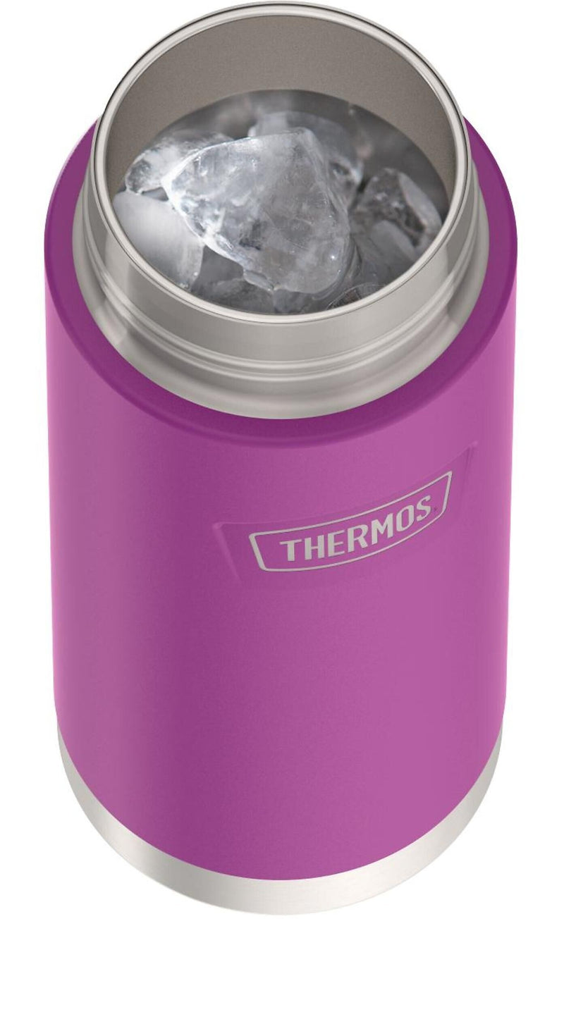 Thermos Icon Stainless Steel Vacuum Insulated Water Bottle, 18 oz., Plum (EAIS2504PL4)