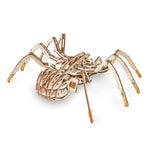EWA Eco-Wood-Art Spider 3D Wooden STEM Construction Kit, 293 Pieces/Set (AVRAV0523304)