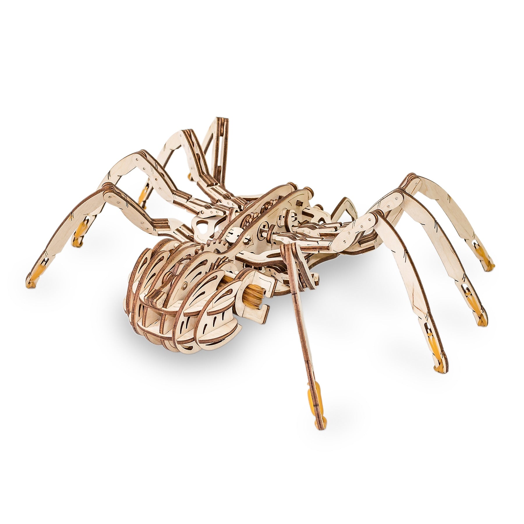 EWA Eco-Wood-Art Spider 3D Wooden STEM Construction Kit, 293 Pieces/Set (AVRAV0523304)