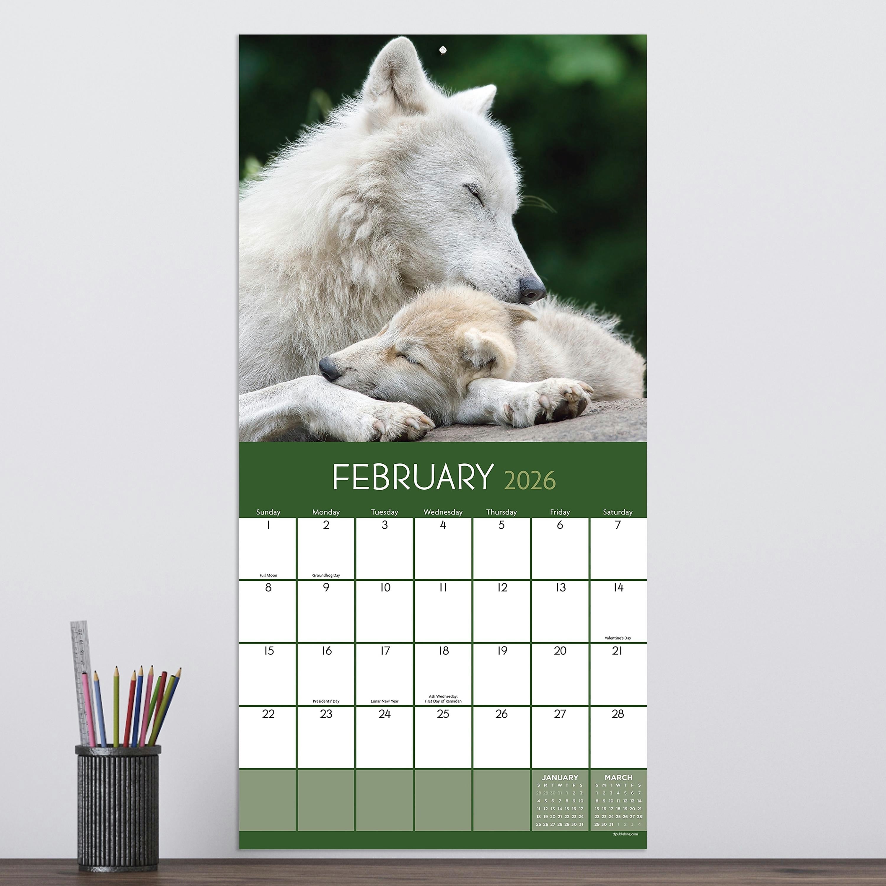 2026 TF Publishing Wolves 12" x 12" Monthly Wall Calendar, Multi (26-1035)