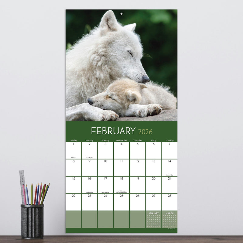 2026 TF Publishing Wolves 12" x 12" Monthly Wall Calendar, Multi (26-1035)