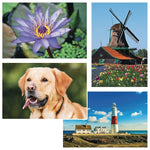 S&S 24-Piece Thera Jigsaw Foam Puzzle, 4 Puzzles/Set (19211)