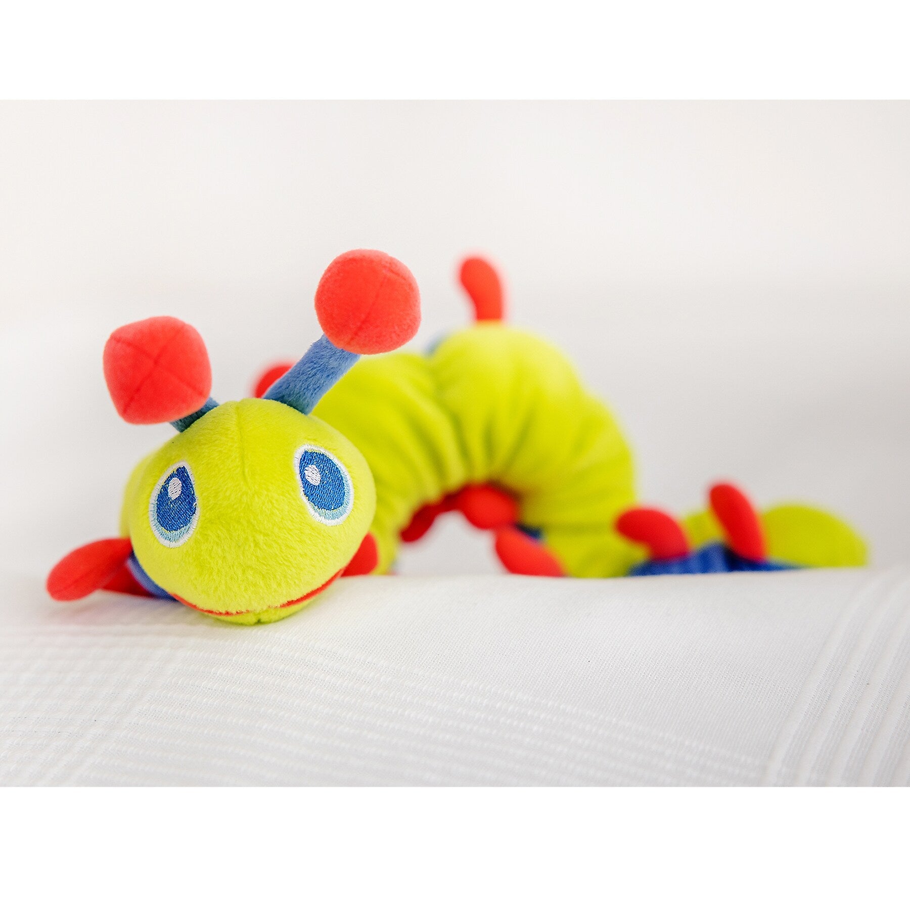 Calm Caterpillar Calmee the Caterpillar (CCJ3010010101)