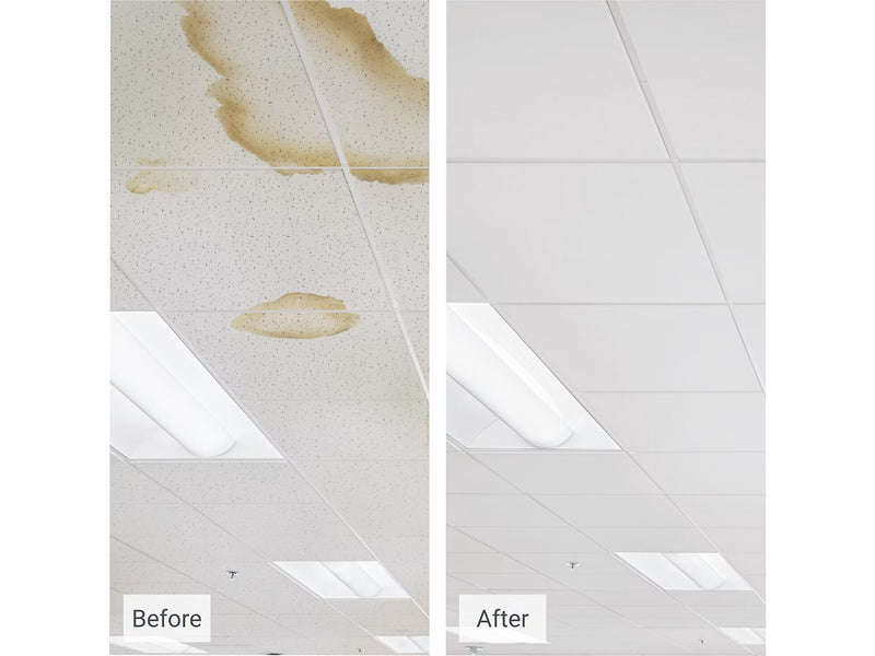 Armstrong CLEAN ROOM VL Square Lay-In Edge Ceiling Tile, 24" x 24", White, 12/Carton (BP868B)