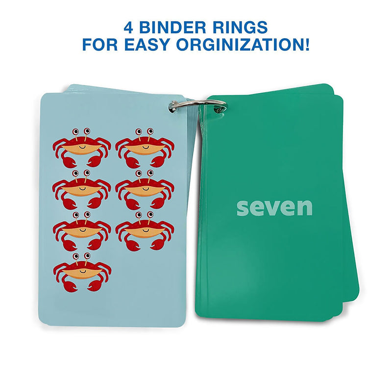 Carson Dellosa Education Early Learning Flash Cards, 224/Pack, 2 Packs/Bundle (CD-734106-2)