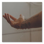 Shower Gel, Warm Oak Scent, 12.2 oz, 12/Carton