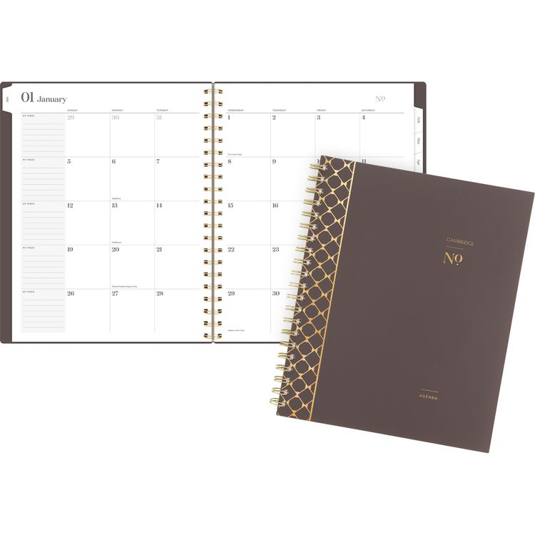 Workstyle Monthly Poly Planner, Geometric Artwork, 11 x 8.5, Java Brown/Gold Cover, 12-Month (Jan to Dec): 2025