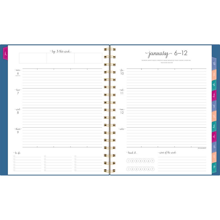Harmony Weekly/Monthly Poly Planner, 8.88 x 7.69, Blue/Gold Cover, 13-Month (Jan to Jan): 2025 to 2026